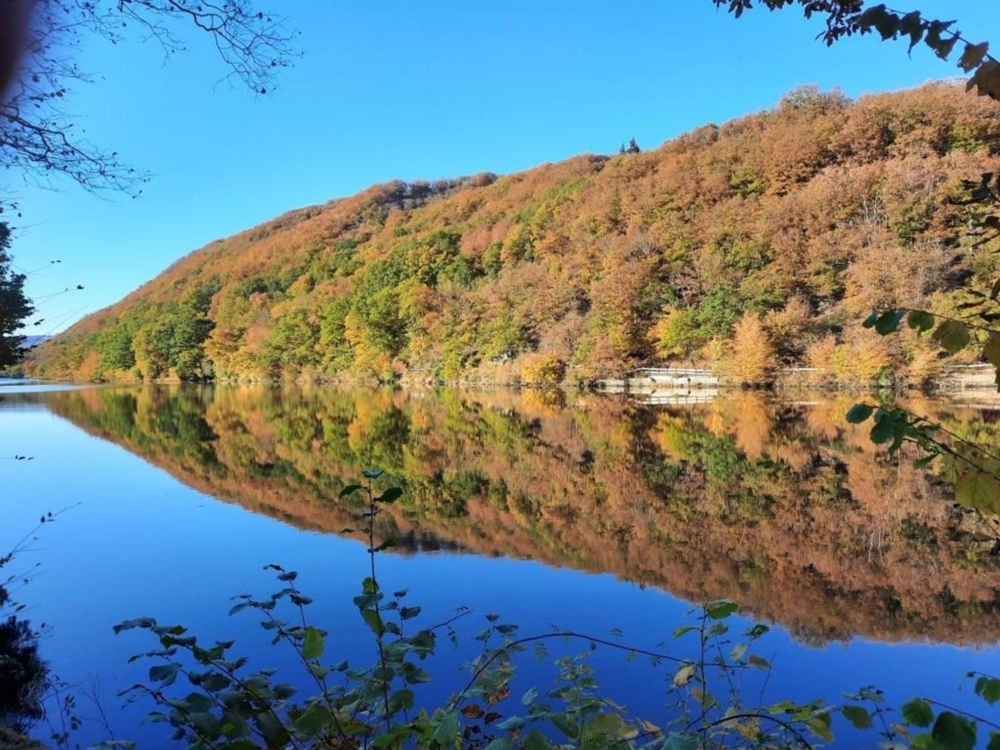 Ferienhaus &#039Freund Am See&#039 3 Heimbach Kültér fotó
